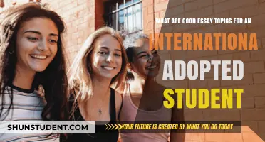 Internationally Adopted Students: Essay Topics to Consider