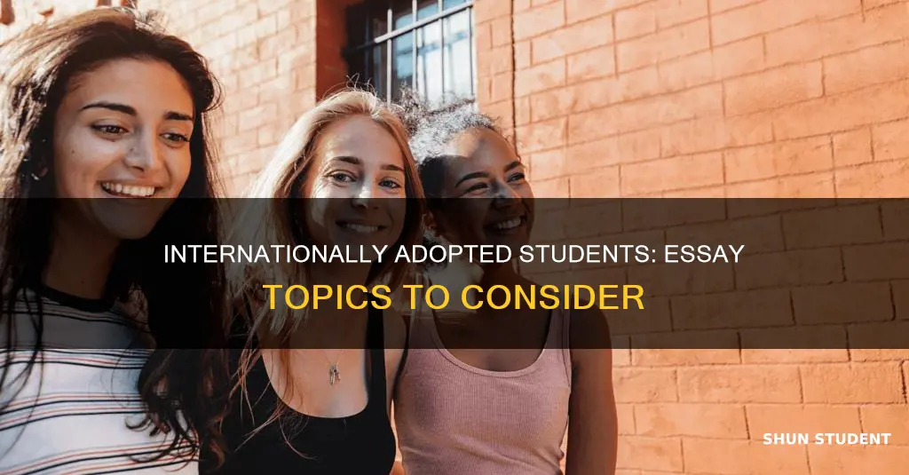 what are good essay topics for an internationally adopted student