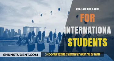 International Student Jobs: Best Career Options