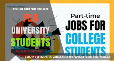 Lucrative Part-Time Jobs for University Students
