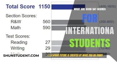 SAT Scores: International Students' Guide to Success
