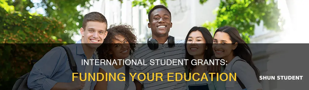 what are grants for international students