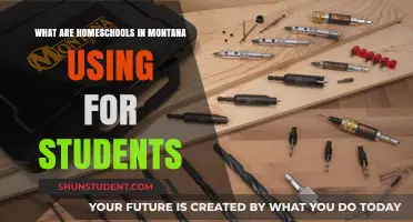 Exploring Educational Tools: Homeschooling in Montana from Ages 8-10
