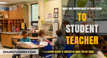 Practicum's Role: Shaping Student Teachers into Confident Educators