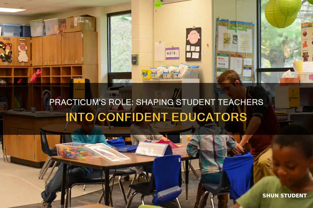 what are importance of practicum to student teacher