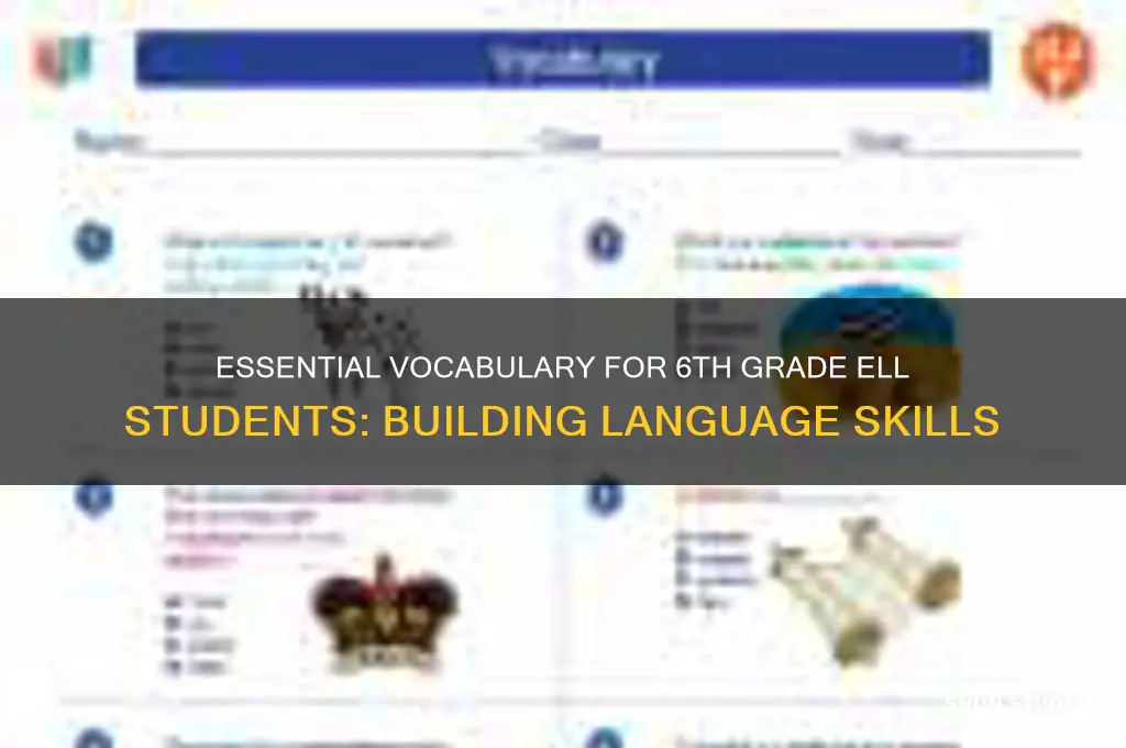 what are important word to teach 6th grade ell students
