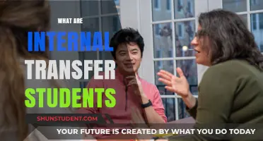 Transferring Within: Understanding Internal Student Transfers