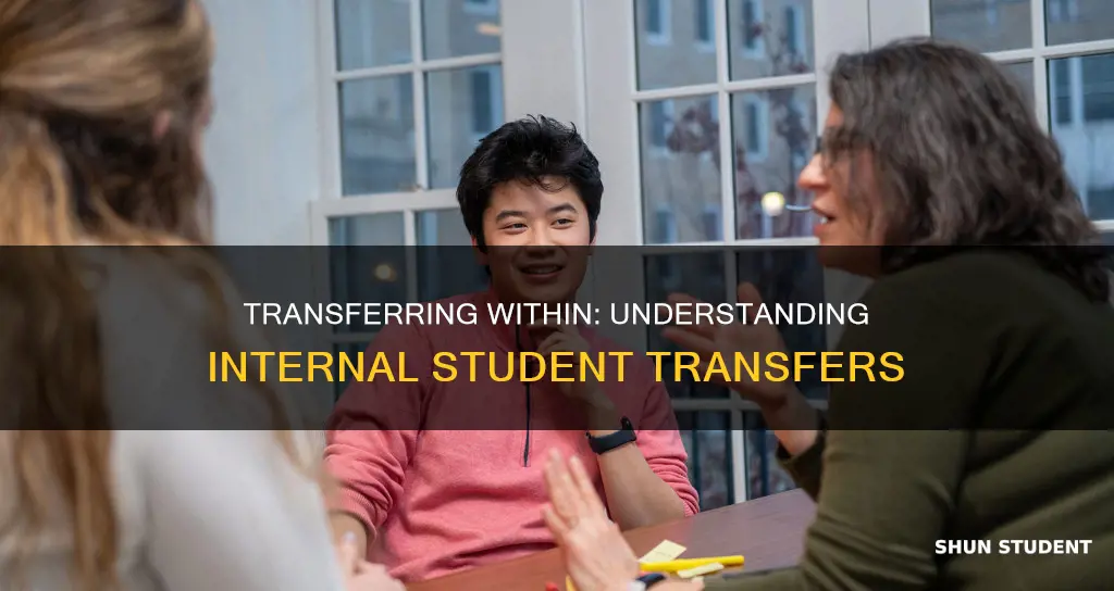 what are internal transfer students