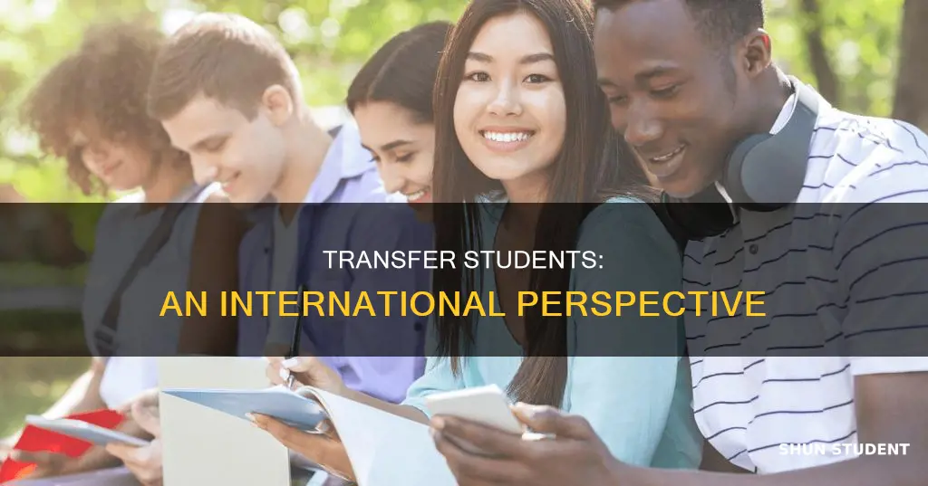 what are international transfer students