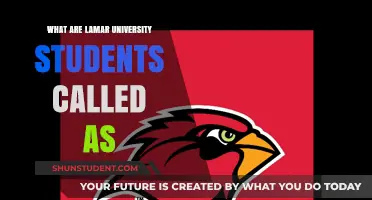 Lamar University: What's in a Name?