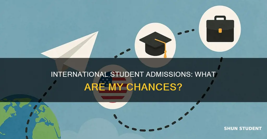 what are my chance of international student