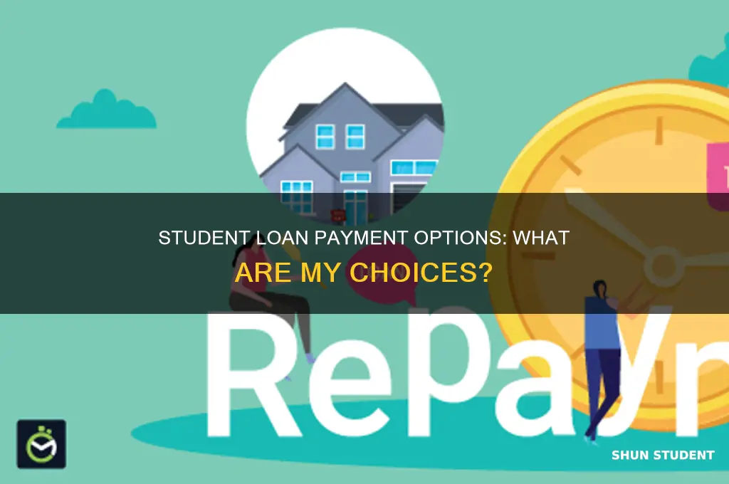 what are my options for paying student loans
