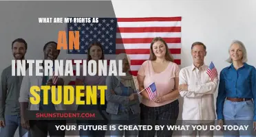 Understanding Your Rights: An International Student's Guide