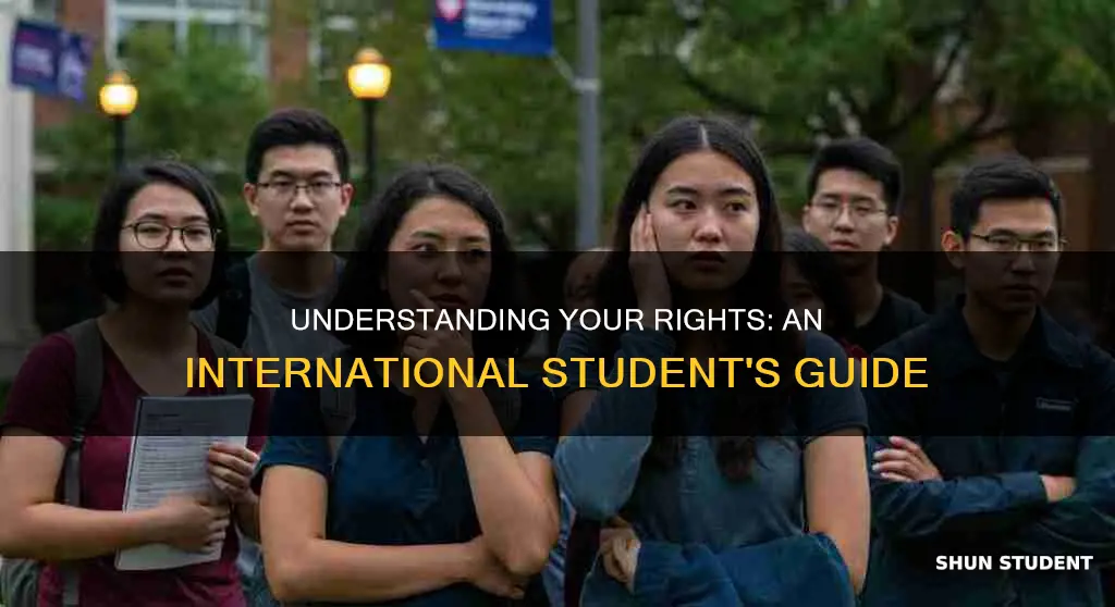 what are my rights as an international student
