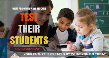 Beyond Exams: Creative Methods Teachers Use to Assess Students