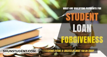 Understanding Qualifying Payments for Student Loan Forgiveness Programs