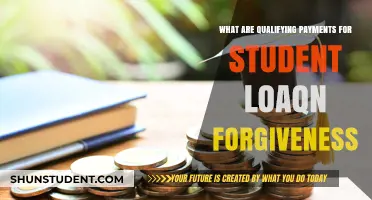 Understanding Qualifying Payments for Student Loan Forgiveness Programs