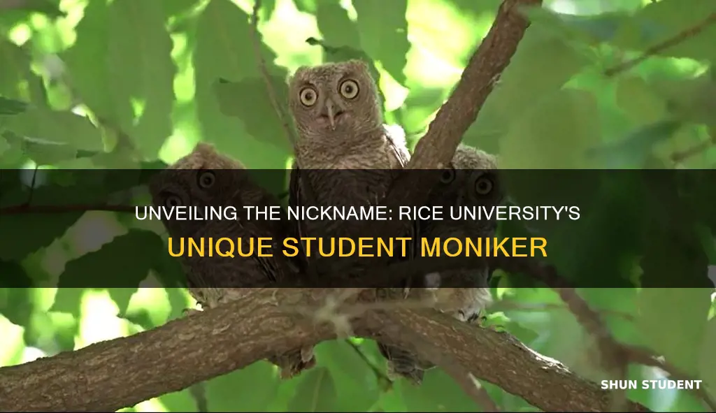 what are rice university students called