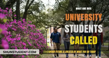 Rice University Students: What's in a Name?