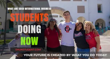 SDSU International Business Alumni: Where Are They Now?