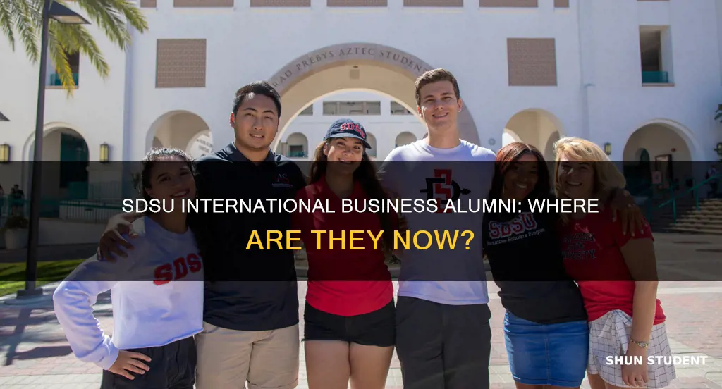 what are sdsu international business students doing now