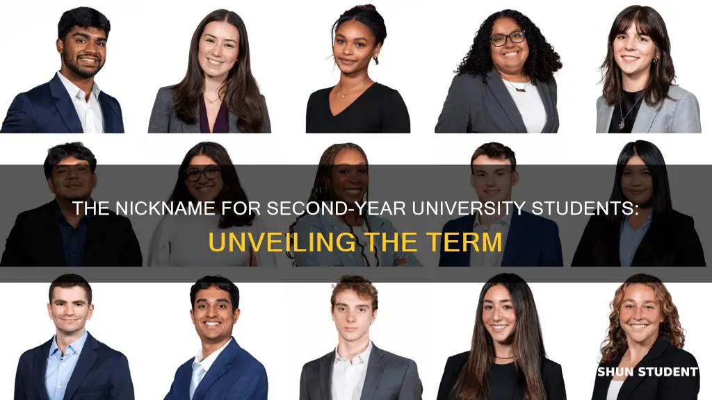 what are second year university students called