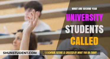 Sophomores: Second-Year University Students Explained