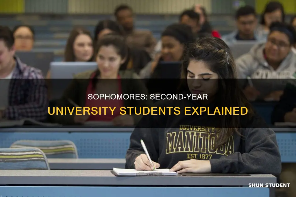 what are second year university students called