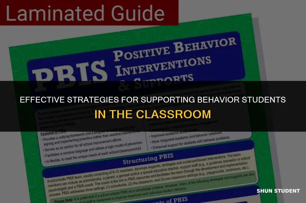 what are some strategies to use for behavior students