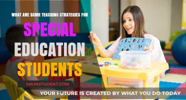 Effective Teaching Strategies for Special Education Students: Enhancing Learning and Inclusion