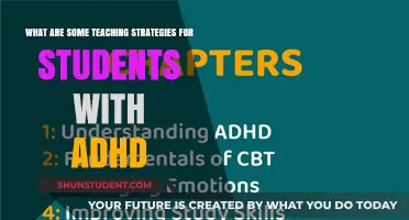 Effective ADHD Teaching Strategies: Engaging and Supporting Student Success
