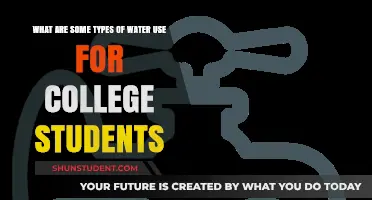Exploring Water Usage: A Guide for College Students