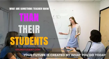 Teachers' Hidden Insights: What Educators Understand Beyond the Classroom