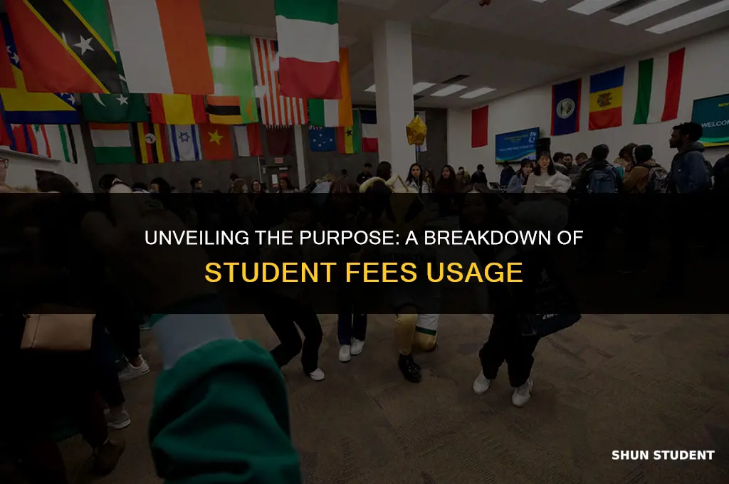 what are student fees used for