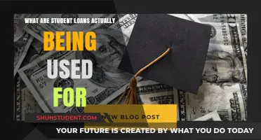 Decoding Student Loans: A Deep Dive into Their Real-World Uses