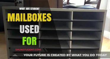 Exploring the Essential Role of Student Mailboxes in Education