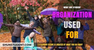 Unlocking Potential: The Power and Purpose of Student Organizations