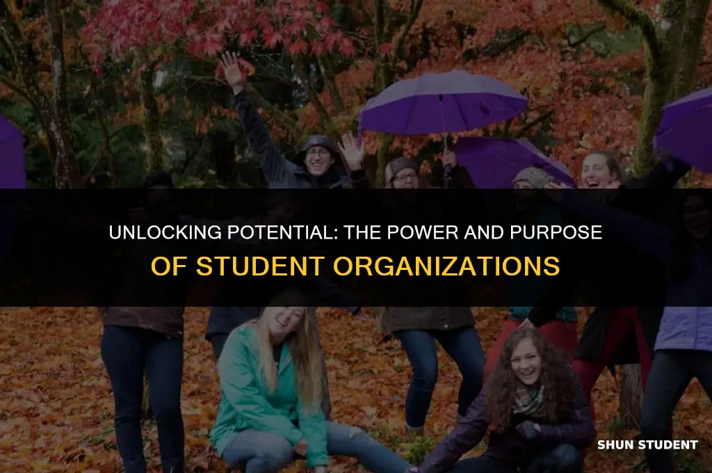 what are student organizations used for
