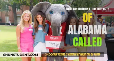 Unveiling the Nickname: What Do Students at the University of Alabama Call Themselves?