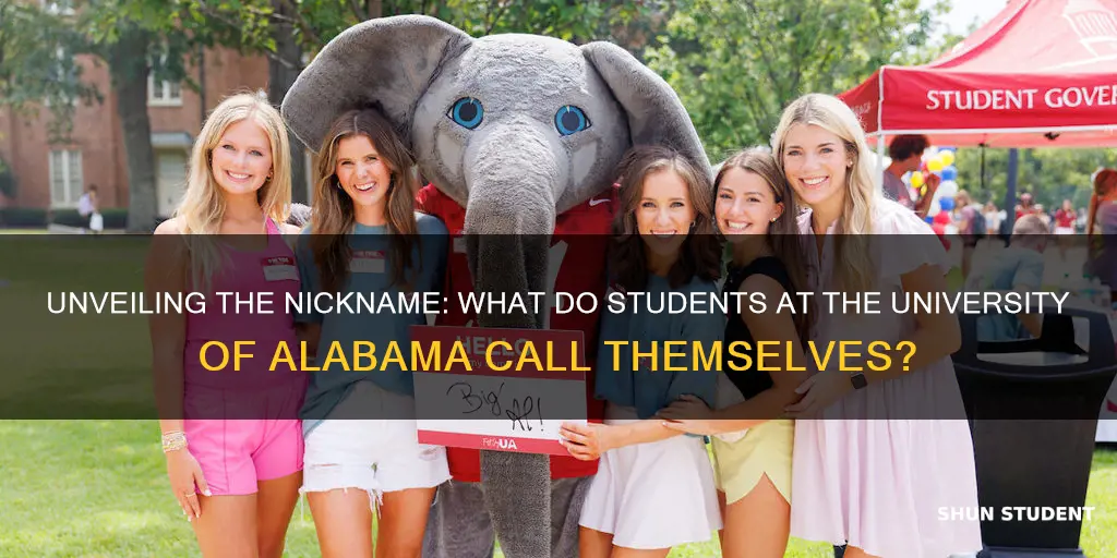 what are students at the university of alabama called