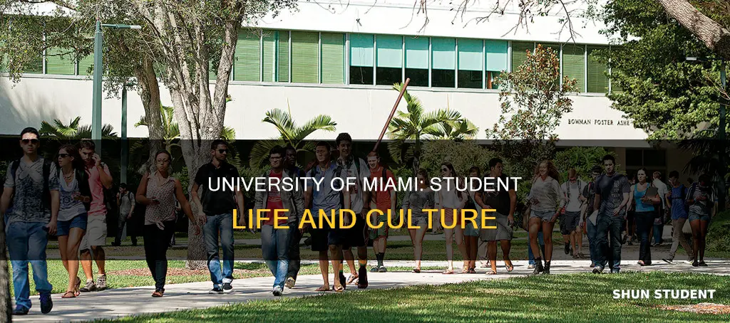 what are students at university of miami like
