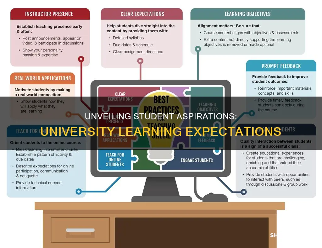 what are students expectations of university learning