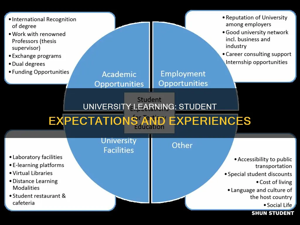 what are students expectations of university learning