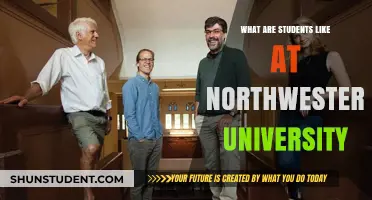 Northwestern University Students: Who Are They?