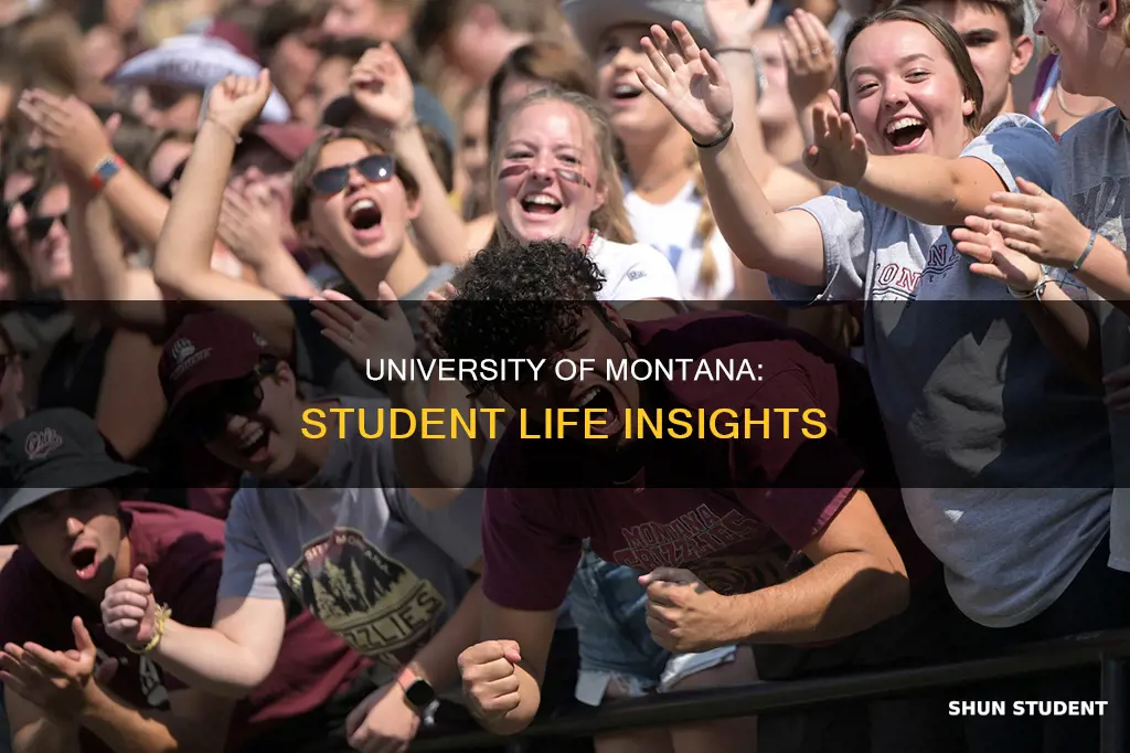 what are students like at university of montana