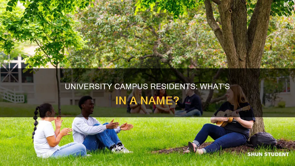 what are students living in university campus called