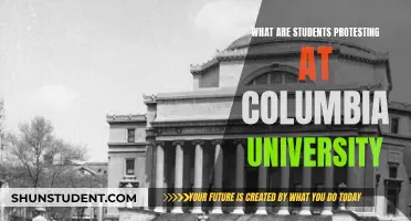 Columbia University Students Protest: What's the Issue?