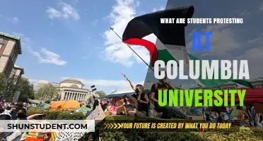 Columbia University Students: What's the Protest About?