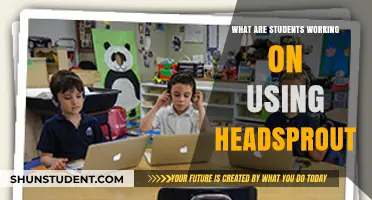 Exploring Student Projects and Progress with Headsprout