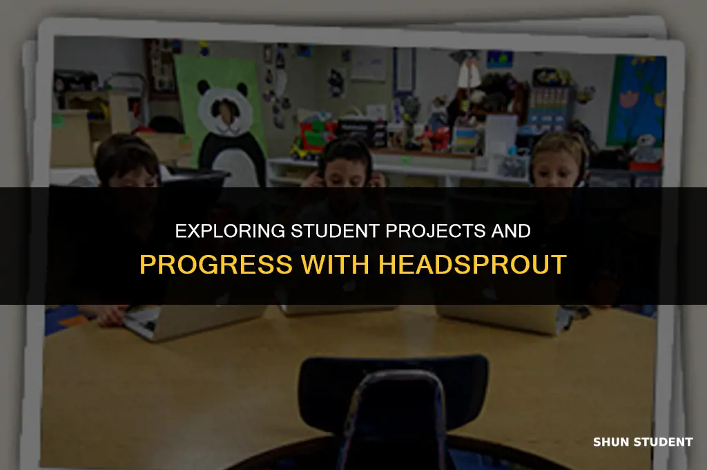 what are students working on using headsprout
